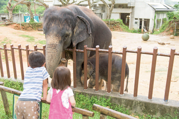 Okinawa Zoo & Museum こどもの国